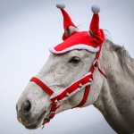 YORK dzwonki do kantara/ogłowia CHRISTMAS