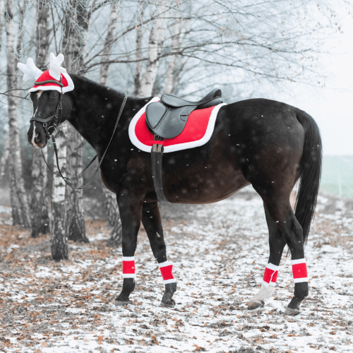 Akcesoria świąteczne dla konia York Christmas