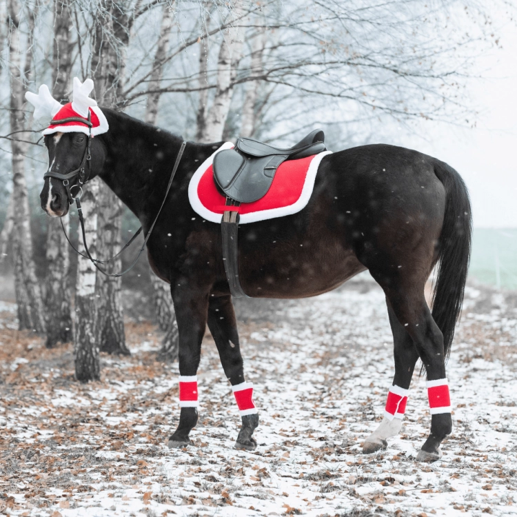Akcesoria świąteczne dla konia York Christmas