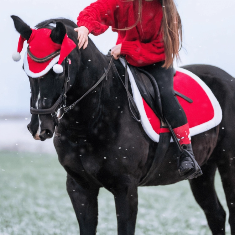 Czaprak świąteczny York Christmas na koniu
