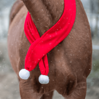 YORK szalik dla Konia CHRISTMAS czerwony