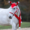 Zestaw świąteczny dla konia York Christmas w kolorze czerwonym