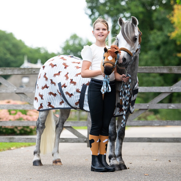 QHP konik HOBBY HORSE chestnut