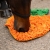 Mata węchowa dla konia QHP Carrot
