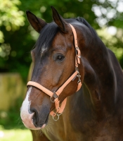 WALDHAUSEN kantar ATHLETIC peach