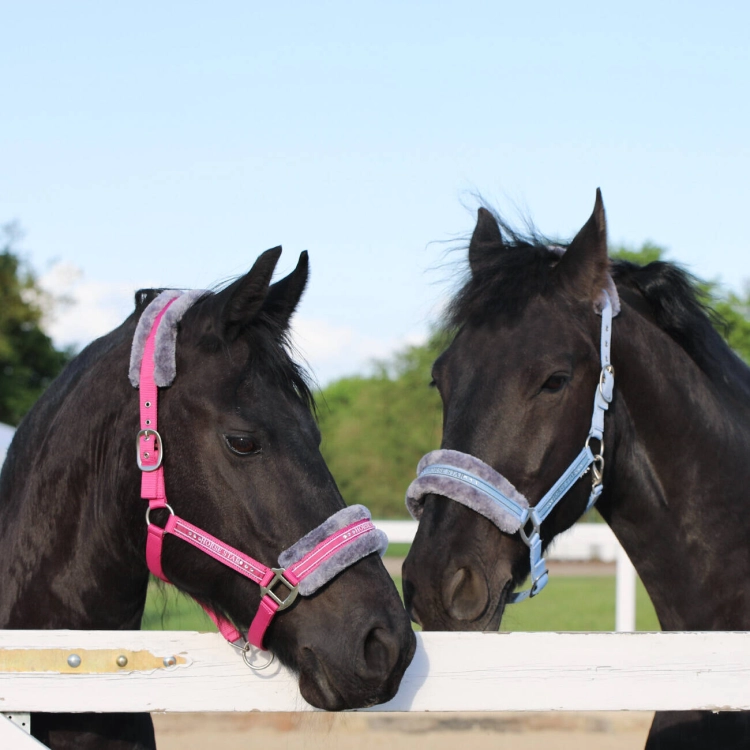 Kantar dla konia z futerkiem Horsenjoy Horse Star w kolorze różowym