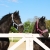 Kantar dla konia z futerkiem Horsenjoy Horse Star w kolorze różowym