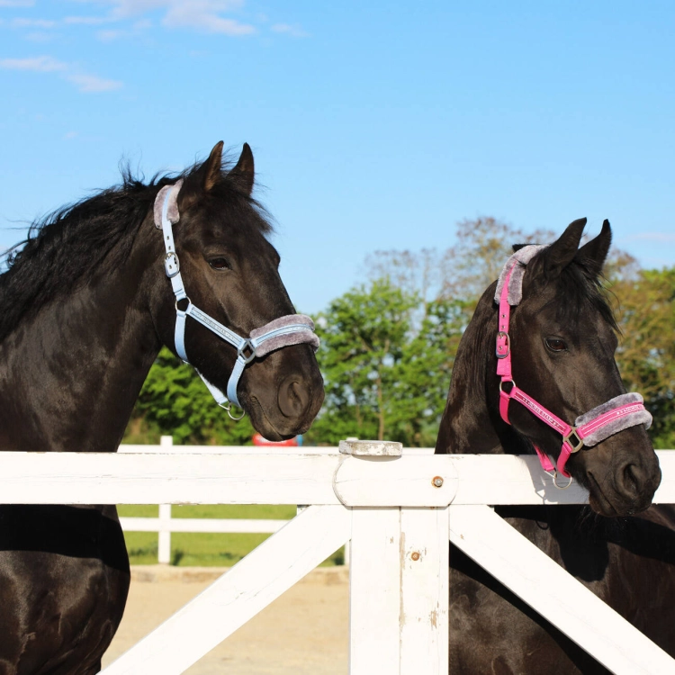 Kantar dla konia z futerkiem Horsenjoy Horse Star w kolorze różowym
