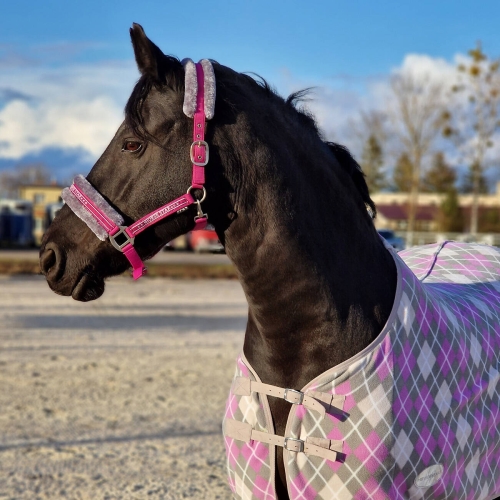 Kantar dla konia z futerkiem Horsenjoy Horse Star w kolorze różowym