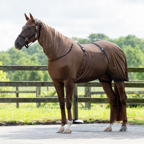 Derka na egzemę dla konia QHP w kolorze brązowym