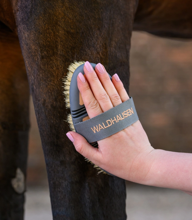 WALDHAUSEN szczotka FLEX Dandy peach