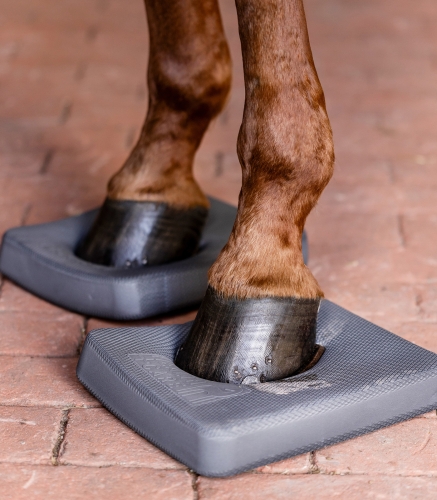 Podkładki treningowe dla konia Waldhausen Health + Care Balance Pads
