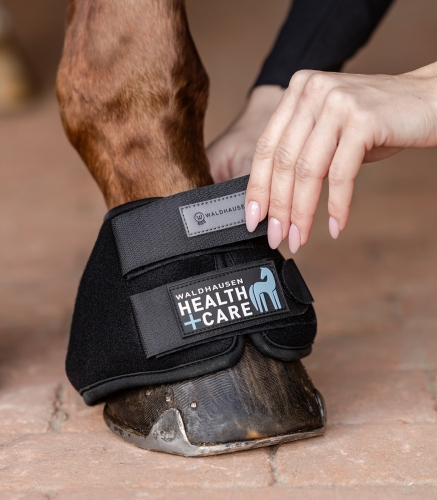 Chłodzące kaloszki dla konia (para) Waldhausen Health + Care Cooling Bell Boots