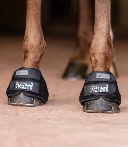 Chłodzące kalosze dla konia (para) Waldhausen Health + Care Cooling Bell Boots