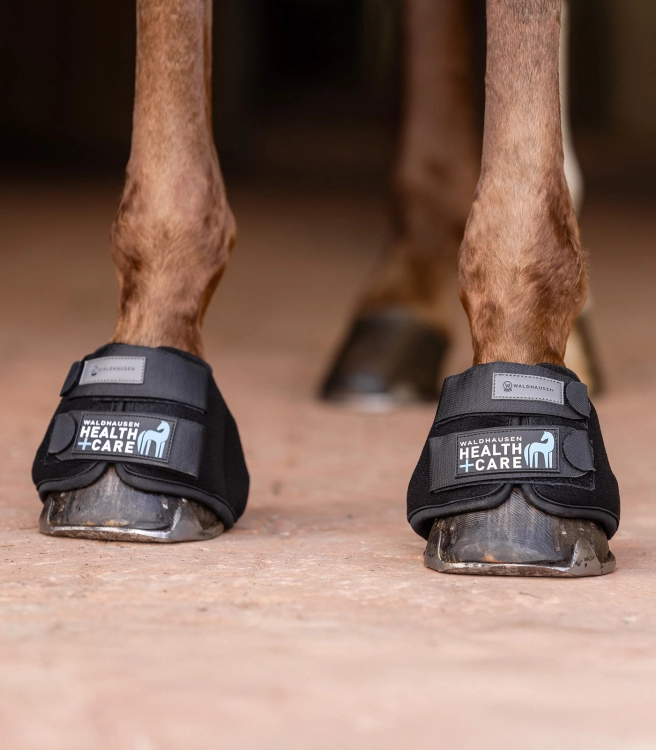 Chłodzące kalosze dla konia (para) Waldhausen Health + Care Cooling Bell Boots