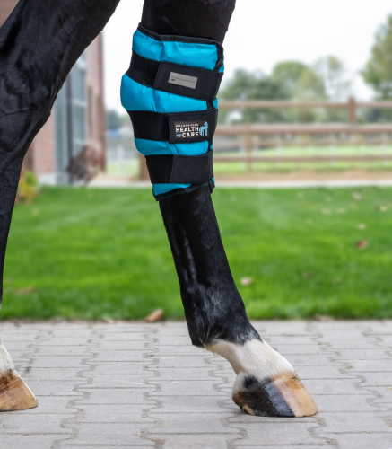 Chłodzący ochraniacz na staw skokowy Waldhausen Health + Care Hock Gaiter Gel na koniu