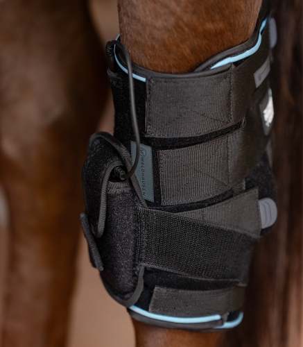 Ochraniacz terapeutyczny na staw skokowy Waldhausen Health + Care Hock Tendon Boot