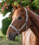 WALDHAUSEN kantar SATIN chrome grey