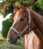 WALDHAUSEN kantar SATIN chrome grey