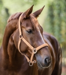 WALDHAUSEN kantar SATIN peach