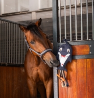 ESKADRON zabawka dla konia DOLPHIN navy 24H