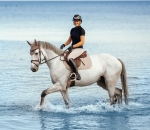 SCHOCKEMOHLE czaprak CERAMICA stone 24H