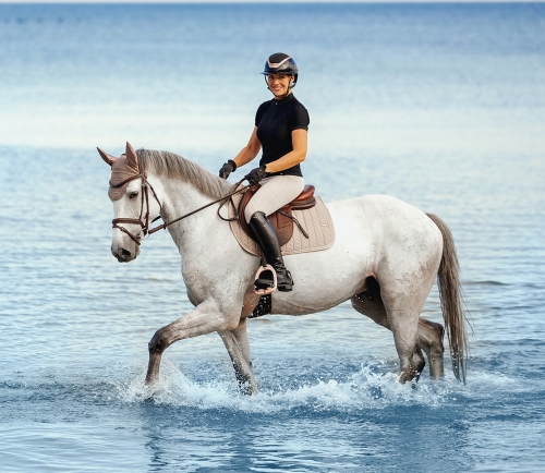 Czaprak Schockemöhle Ceramica w kolorze beżowym na koniu podczas jazdy konnej