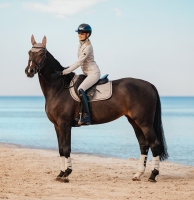 SCHOCKEMOHLE czaprak DENSITY stone 24H