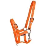 HARRY'S  kantar ŹREBIĘCY orange  