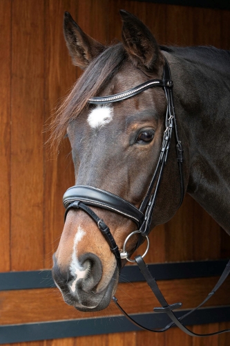 Ogłowie dla konia z kryształkami Harry's Horse Petit Crystal w kolorze czarnym