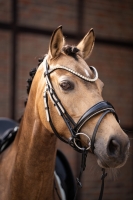 HKM ogłowie LIMONE Elegant black/beige