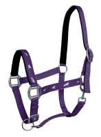 FAIR PLAY kantar ACTIVE fioletowy