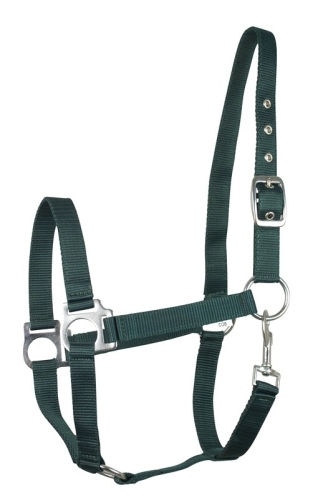 Kantar dla konia Fair Play Eco w kolorze zielonym