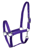 FAIR PLAY kantar ECO fioletowy