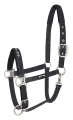 Kantar dla konia Fair Play Dion w kolorze szarym