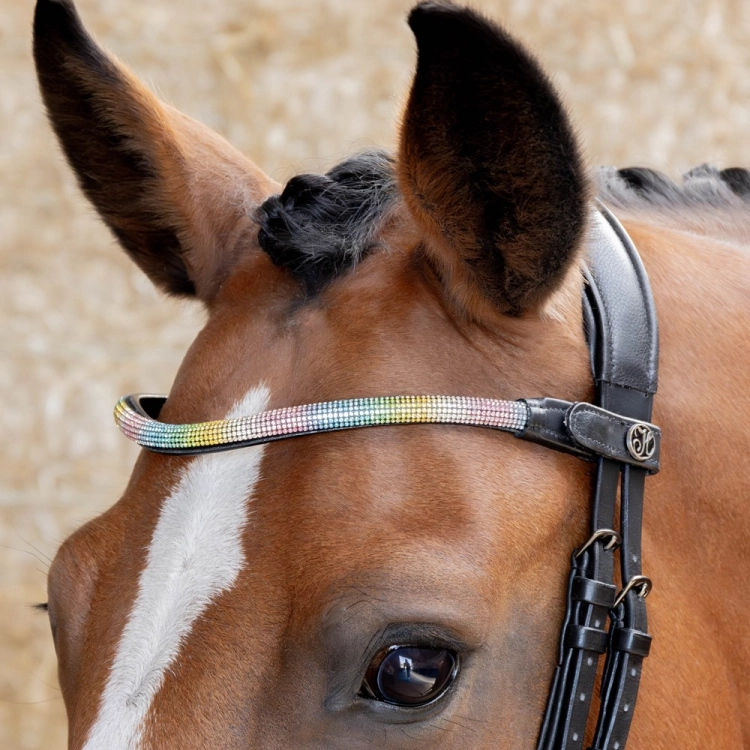 Naczółek dla konia Harry's Horse Rainbow na koniu