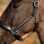 Kantar skórzany z kryształkami Harry's Horse Anatom Crystal