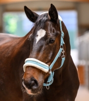 WALDHAUSEN kantar ELEGANT light blue