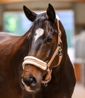 WALDHAUSEN kantar ELEGANT peach