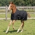 Derka źrebięca z wypełnieniem 100g Harry's Horse w kolorze czarnym