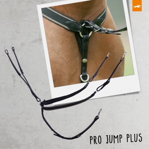 Napierśnik z wytokiem Schockemöhle Pro Jump Plus w kolorze brązowym