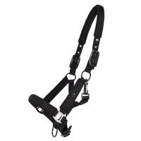 QHP kantar źrebięcy DELUXE black