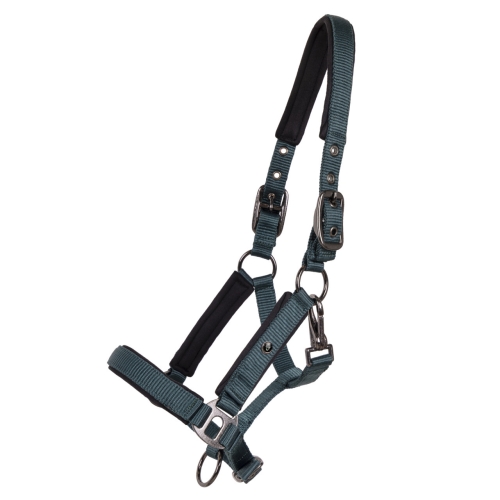 Kantar źrebięcy QHP Deluxe w kolorze ciemnozielonym