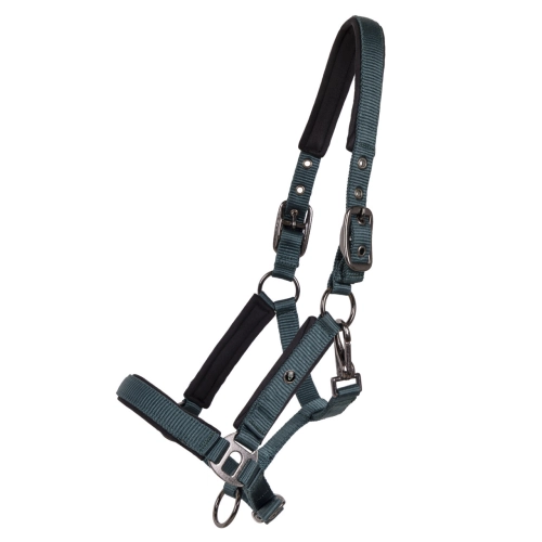 Kantar źrebięcy QHP Deluxe w kolorze ciemnozielonym