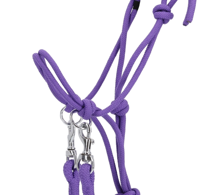Halter z wodzami QHP Color w kolorze fioletowym