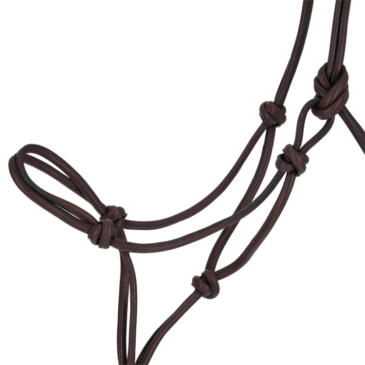 Halter skórzany QHP Liberta w kolorze brązowym