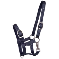 HARRY'S  kantar ŹREBIĘCY navy