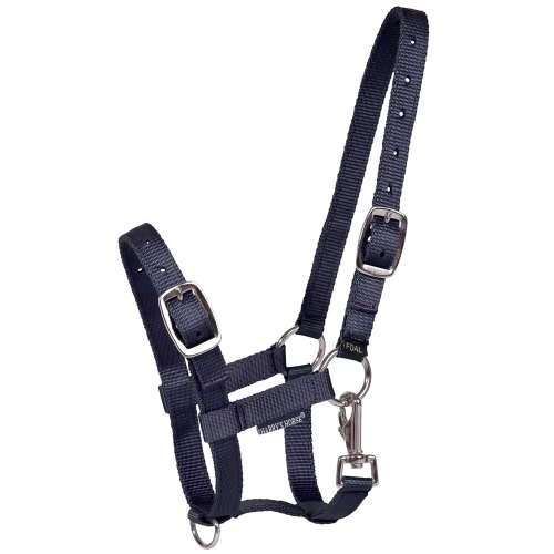 HARRY'S kantar ŹREBIĘCY navy