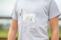 T-shirt jeździecki dziecięcy HKM Junior Sparkle w kolorze szarym