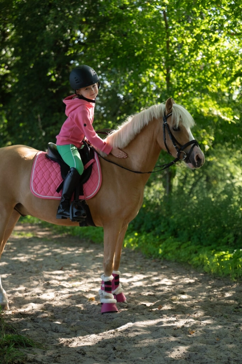 Czaprak dla konia HKM Maui Patch w kolorze różowym na koniu